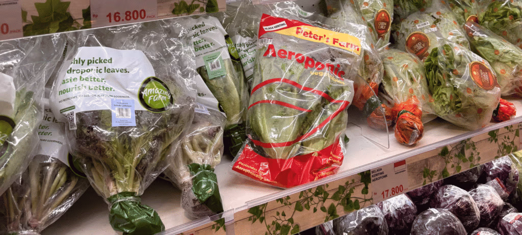 MAP verpackung – Salat